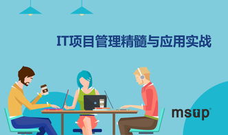msup 軟件研發管理培訓與咨詢服務 賦能團隊，驅動卓越