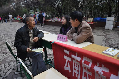 黨員服務進社區，教育咨詢暖人心——記云南民族中學黨員教育咨詢服務活動